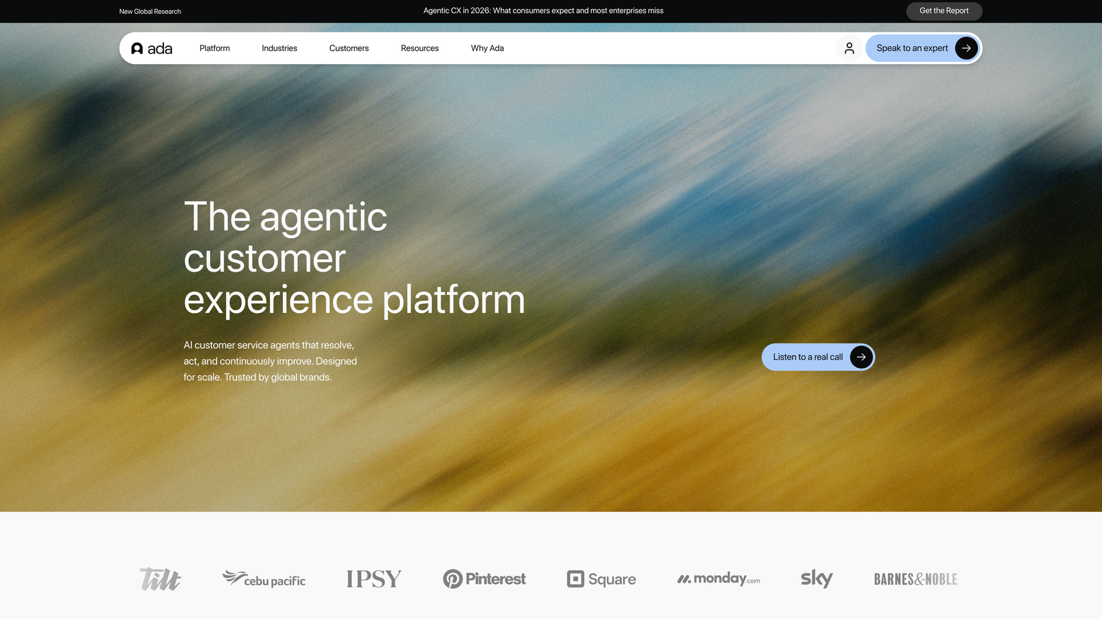Screenshot of Ada website
