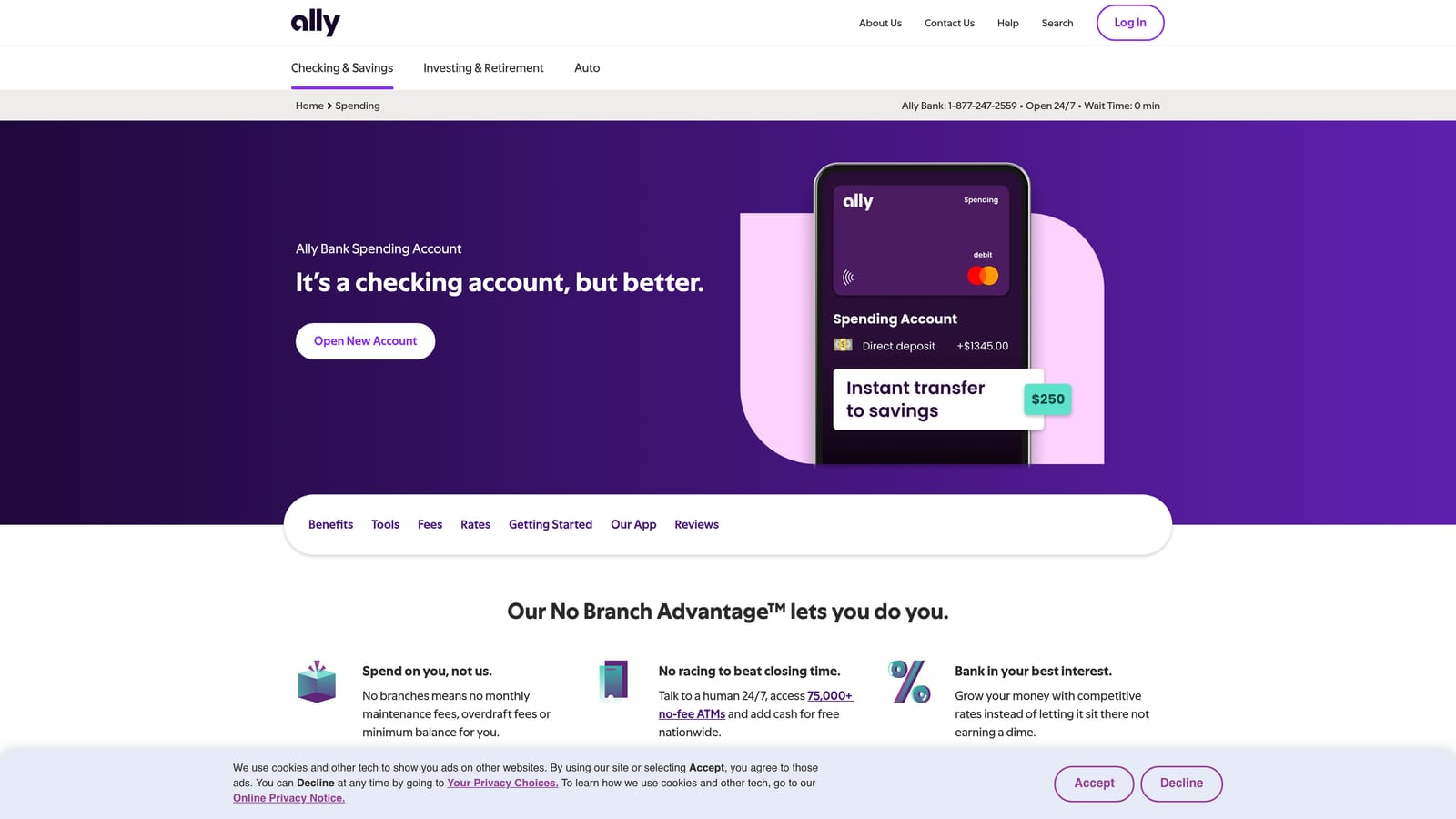 Screenshot of Ally Bank Interest Checking website