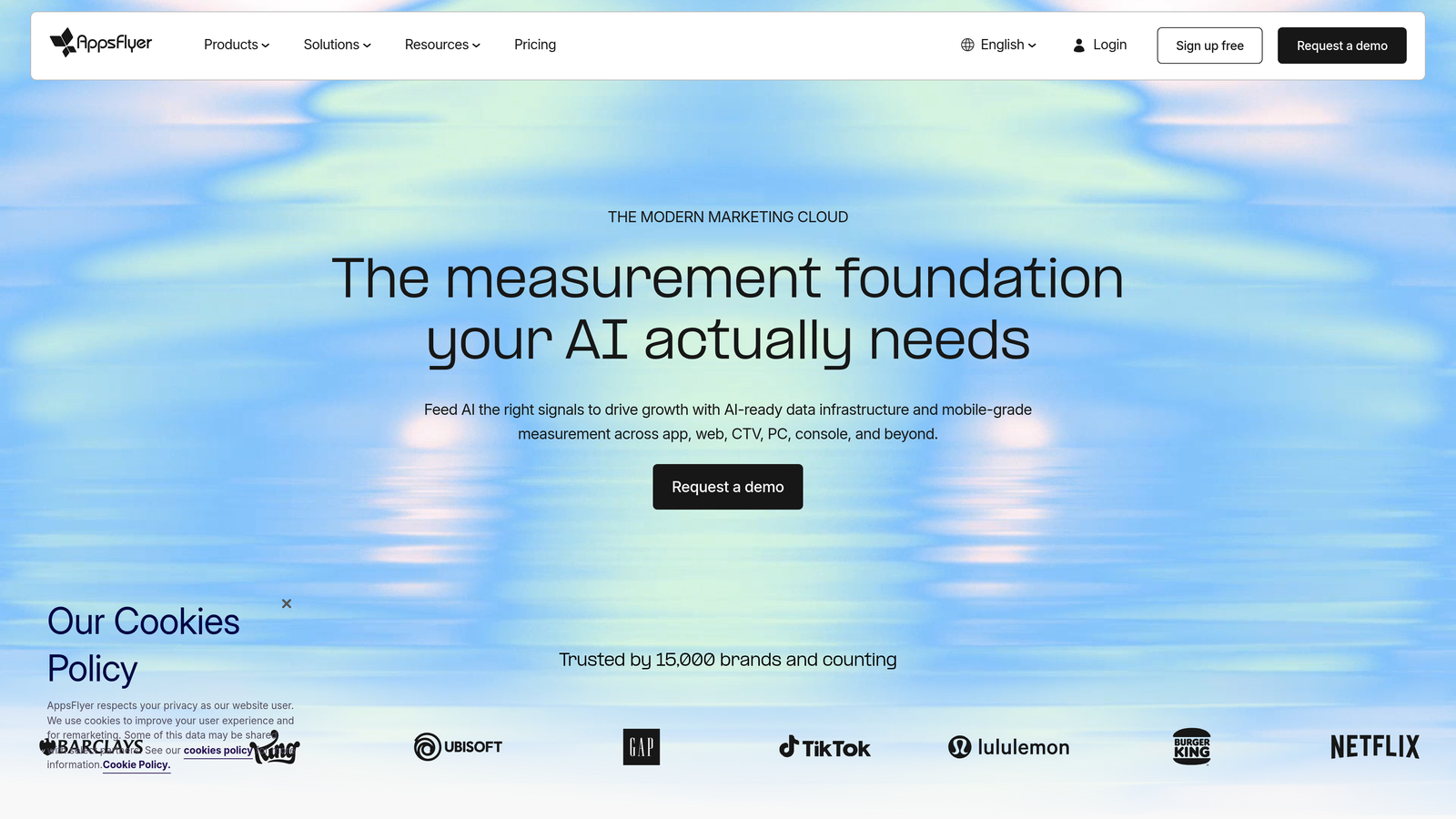 Screenshot of AppsFlyer website