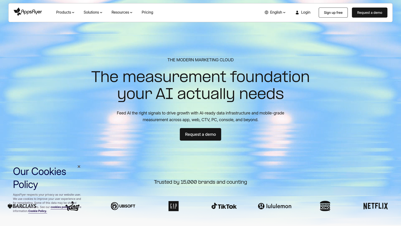 Screenshot of AppsFlyer website