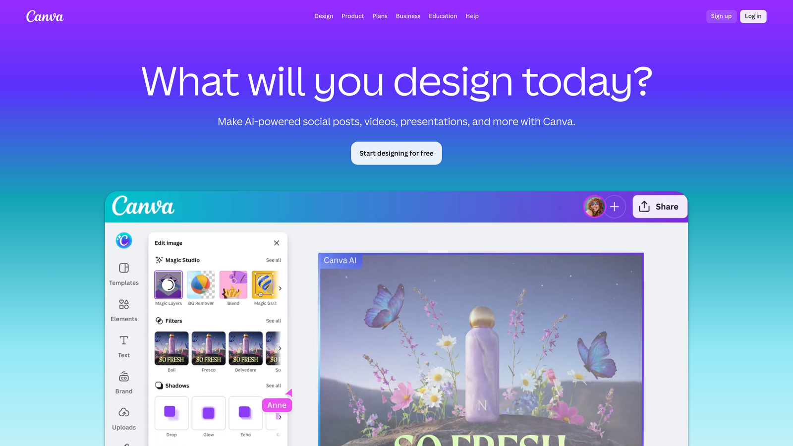 Screenshot of Canva Pro website