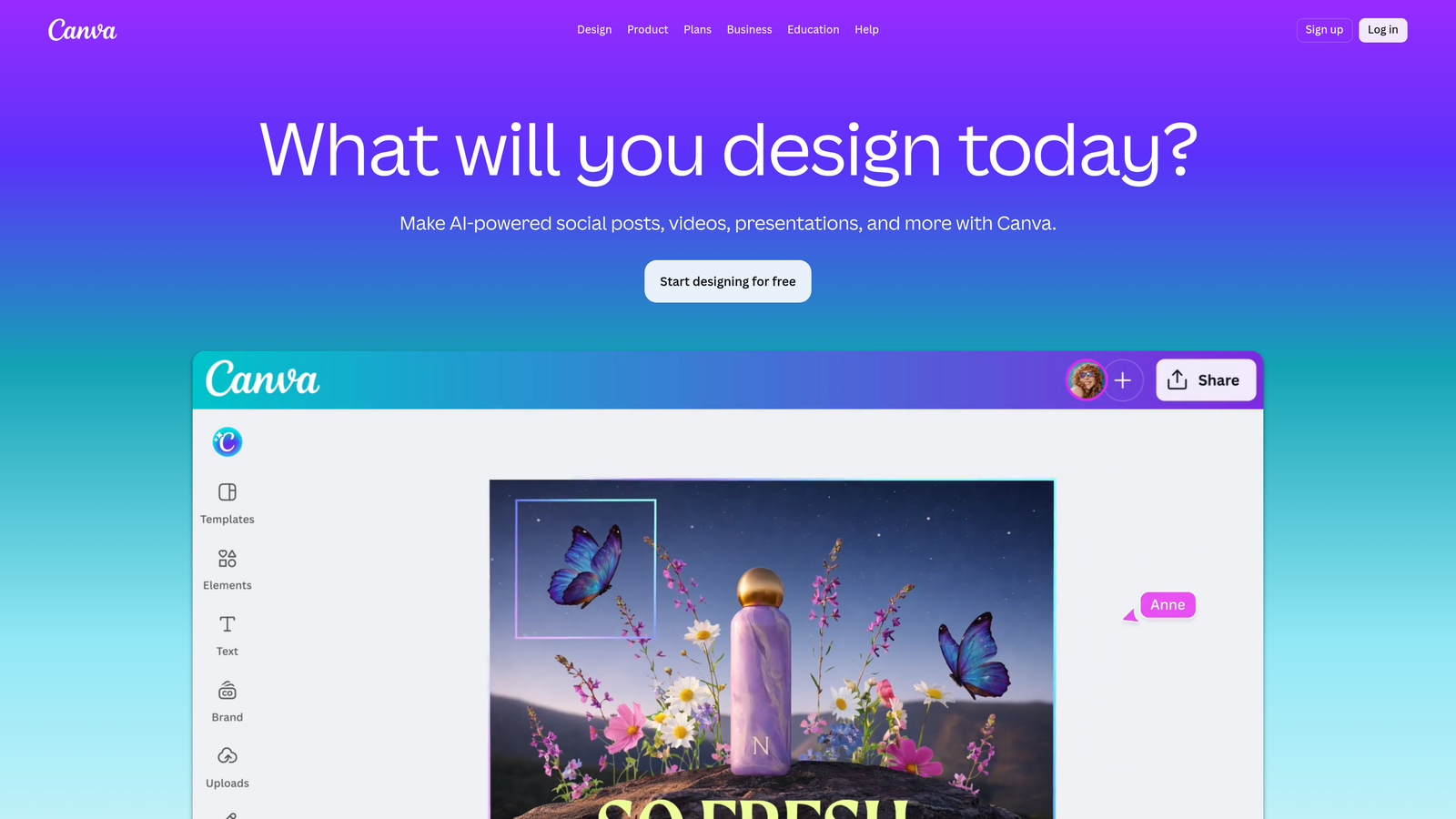 Screenshot of Canva Pro website