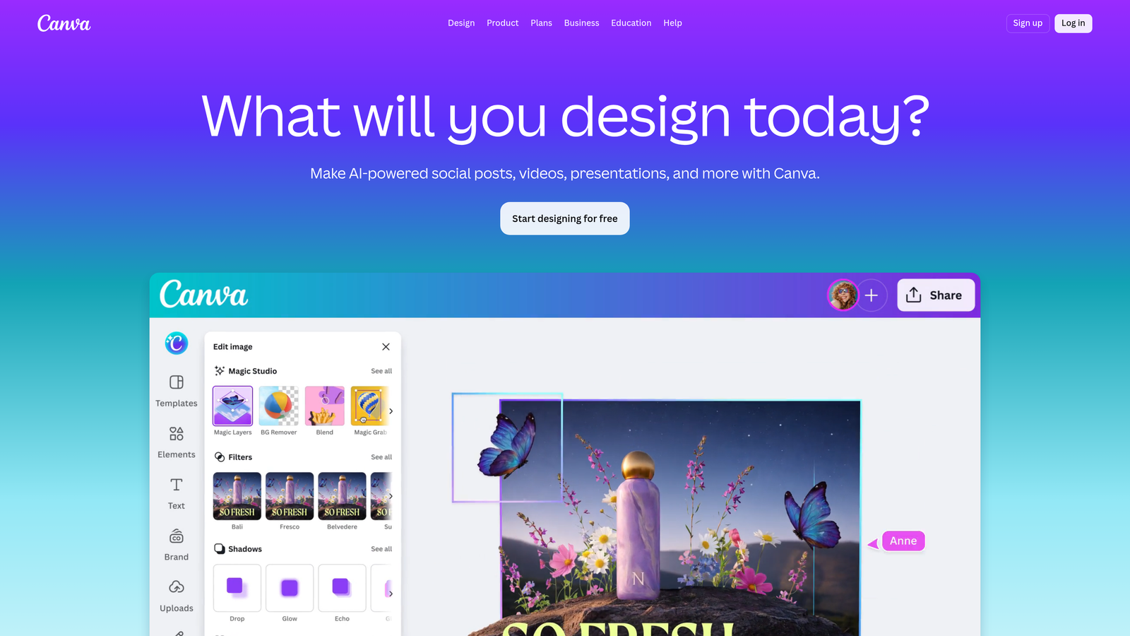 Screenshot of Canva Pro website