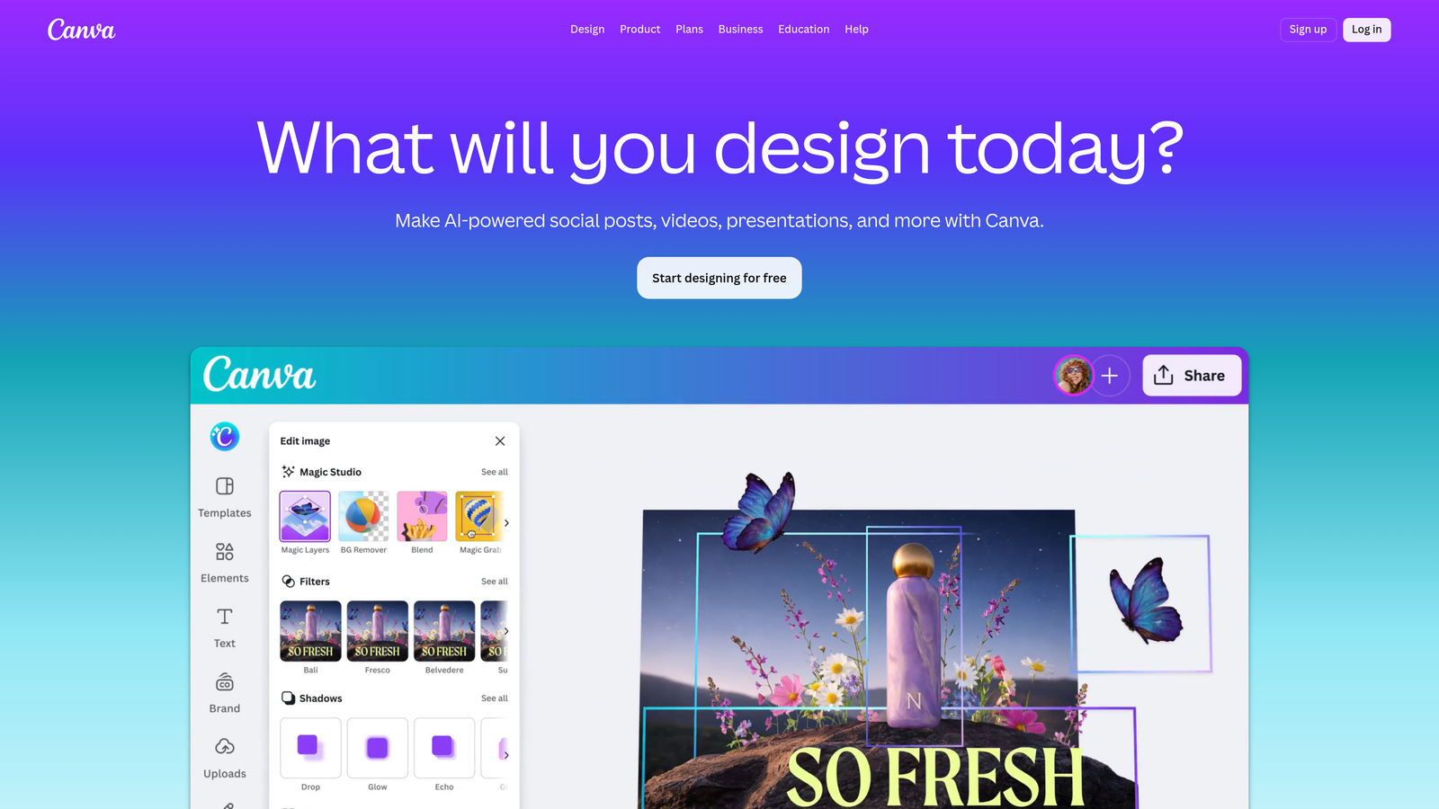 Screenshot of Canva Video website