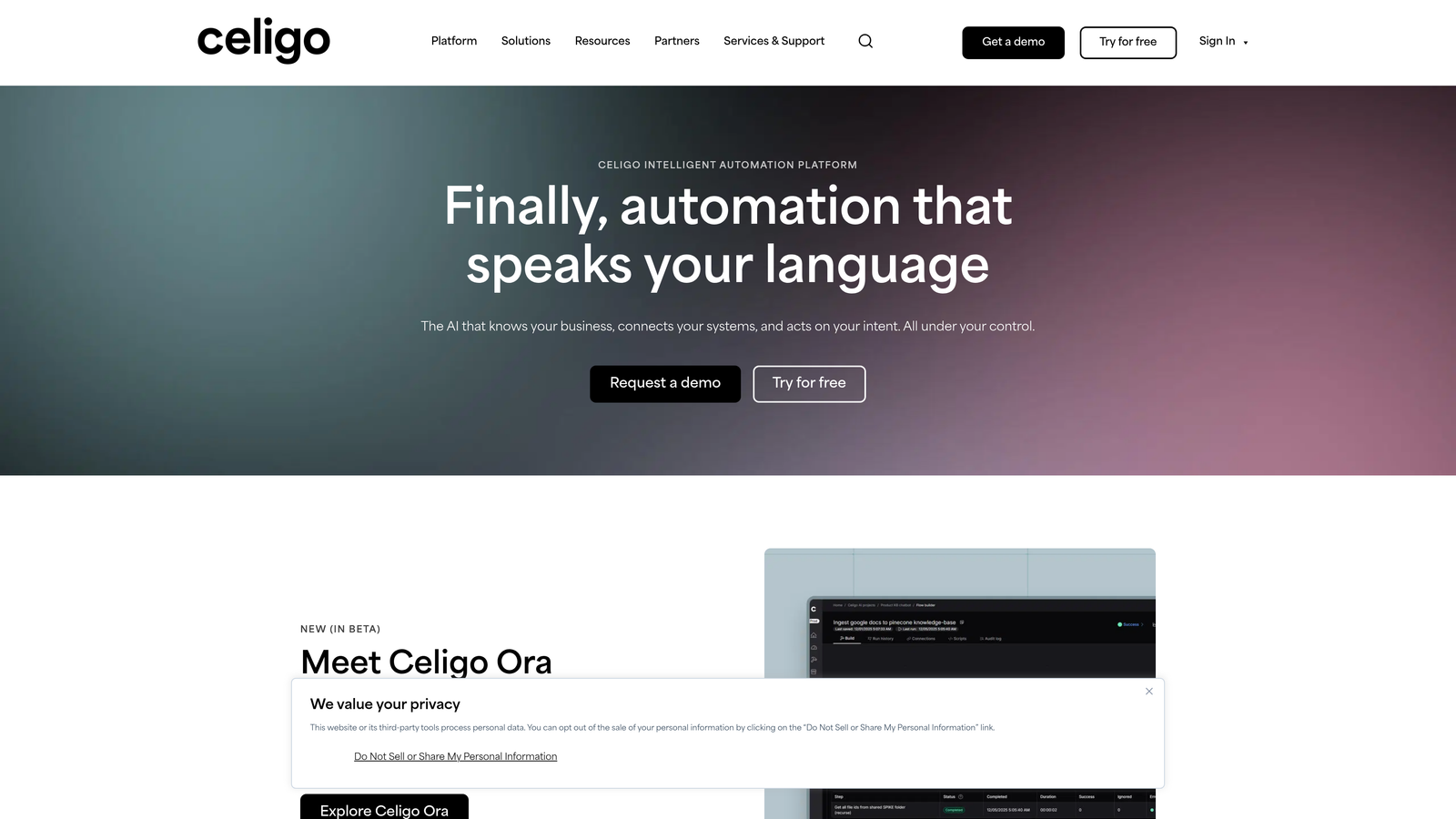 Screenshot of Celigo website