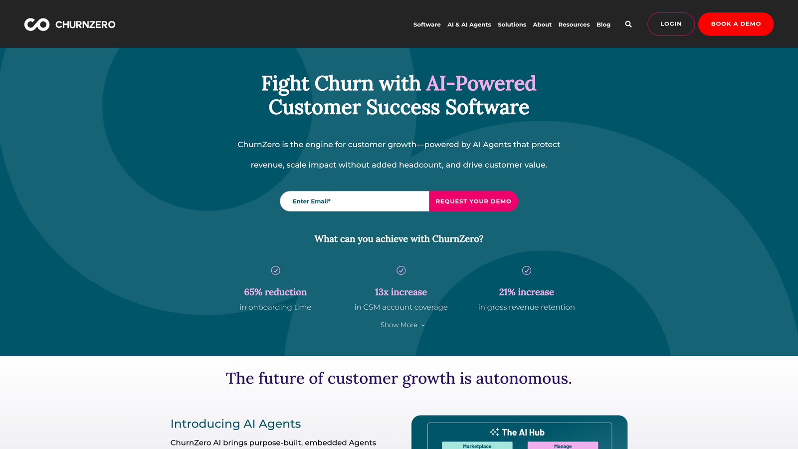 Screenshot of ChurnZero website