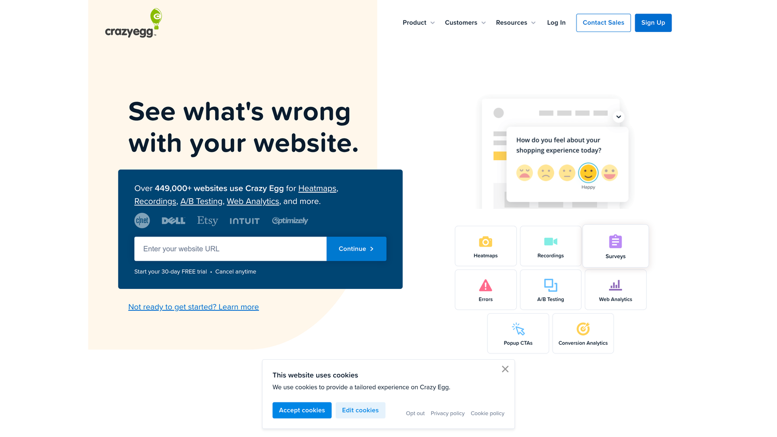 Screenshot of Crazy Egg website