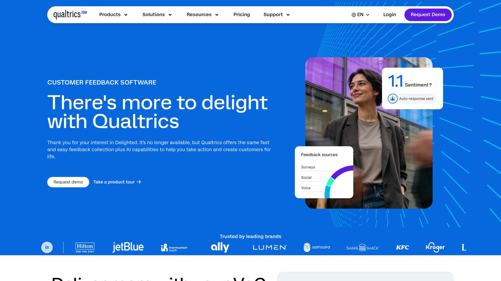 Screenshot of Delighted website