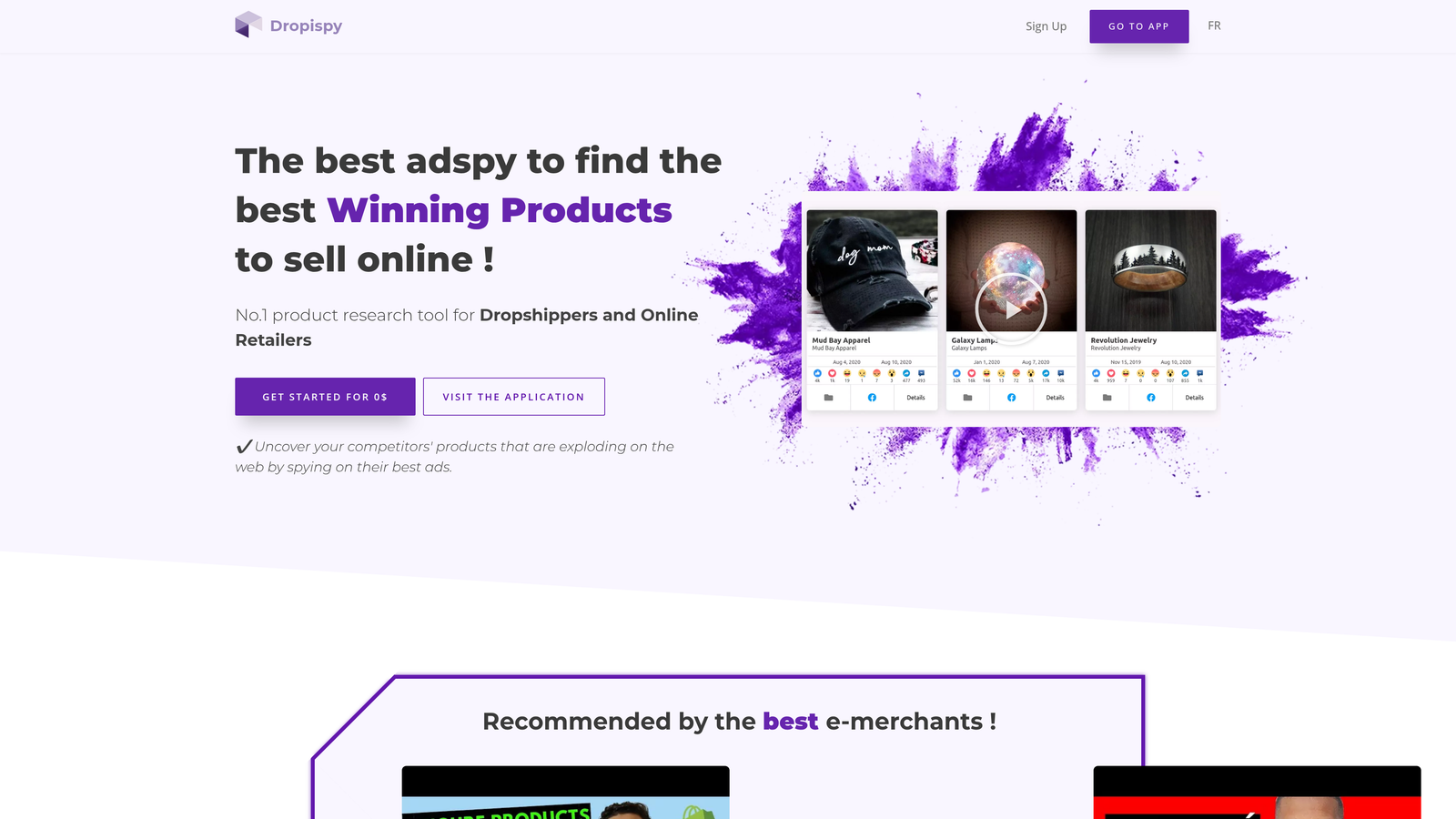 Screenshot of Dropispy website