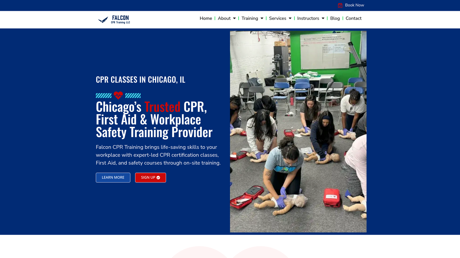 Screenshot of Falcon CPR website