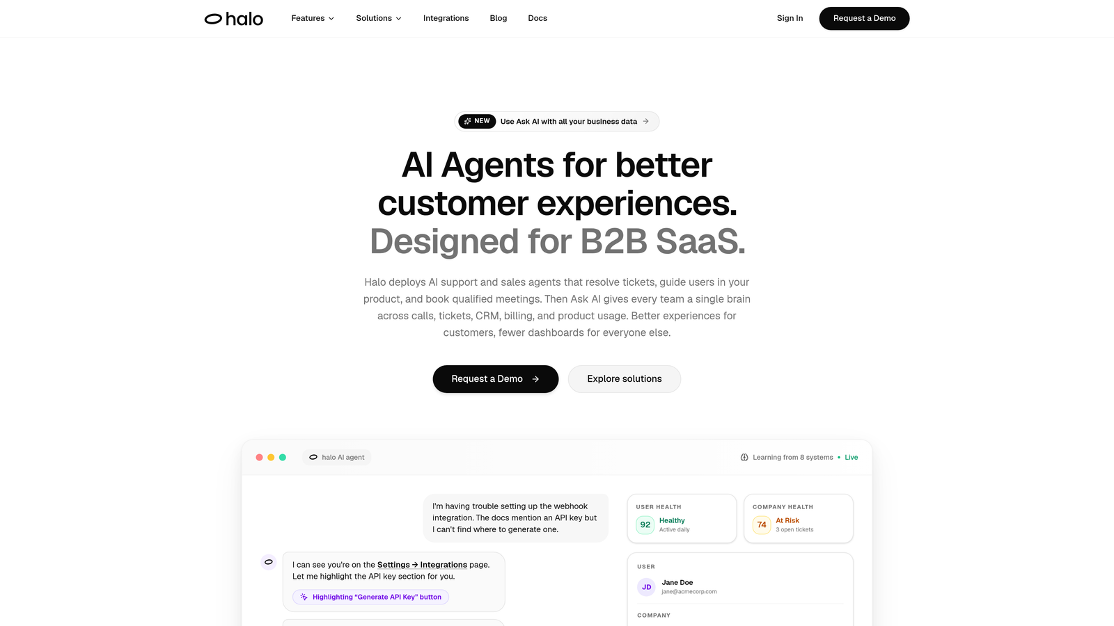 Screenshot of Halo AI website