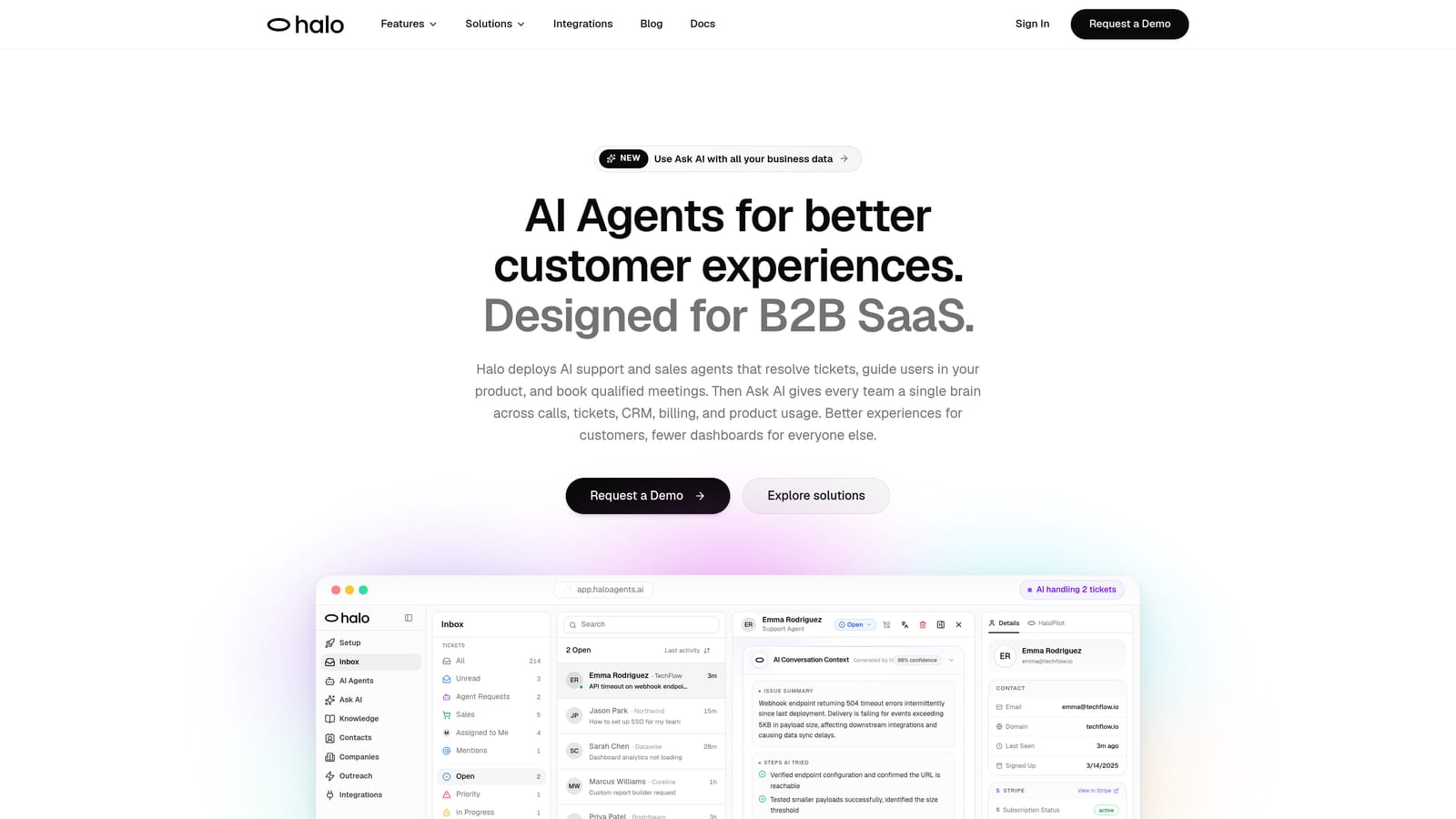 Screenshot of Halo AI website
