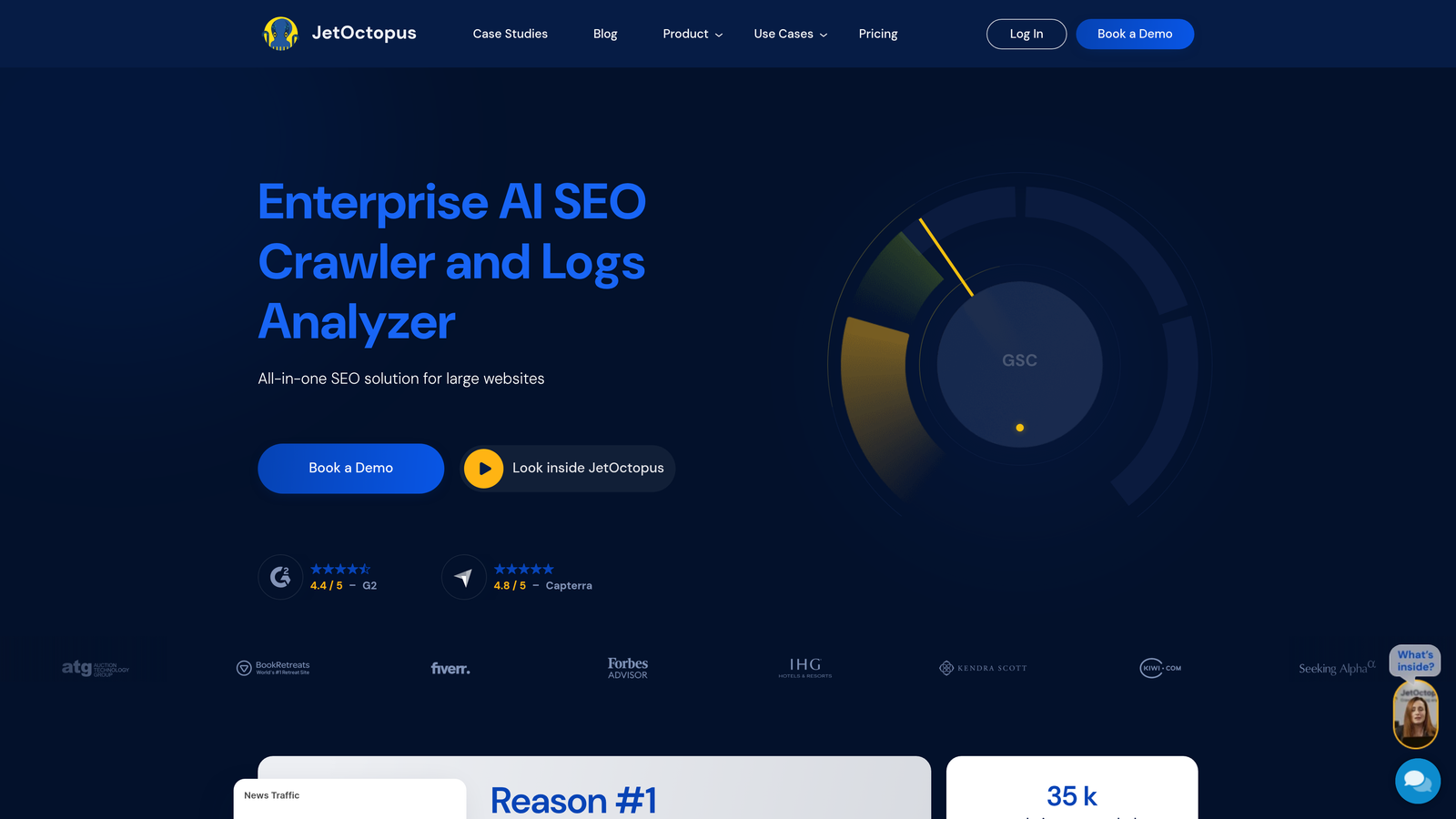 Screenshot of JetOctopus website