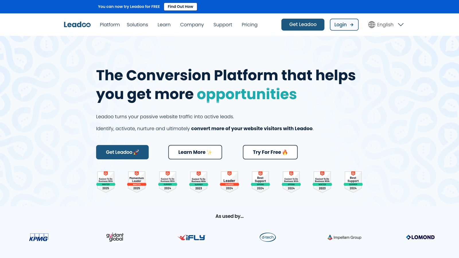 Screenshot of Leadoo website