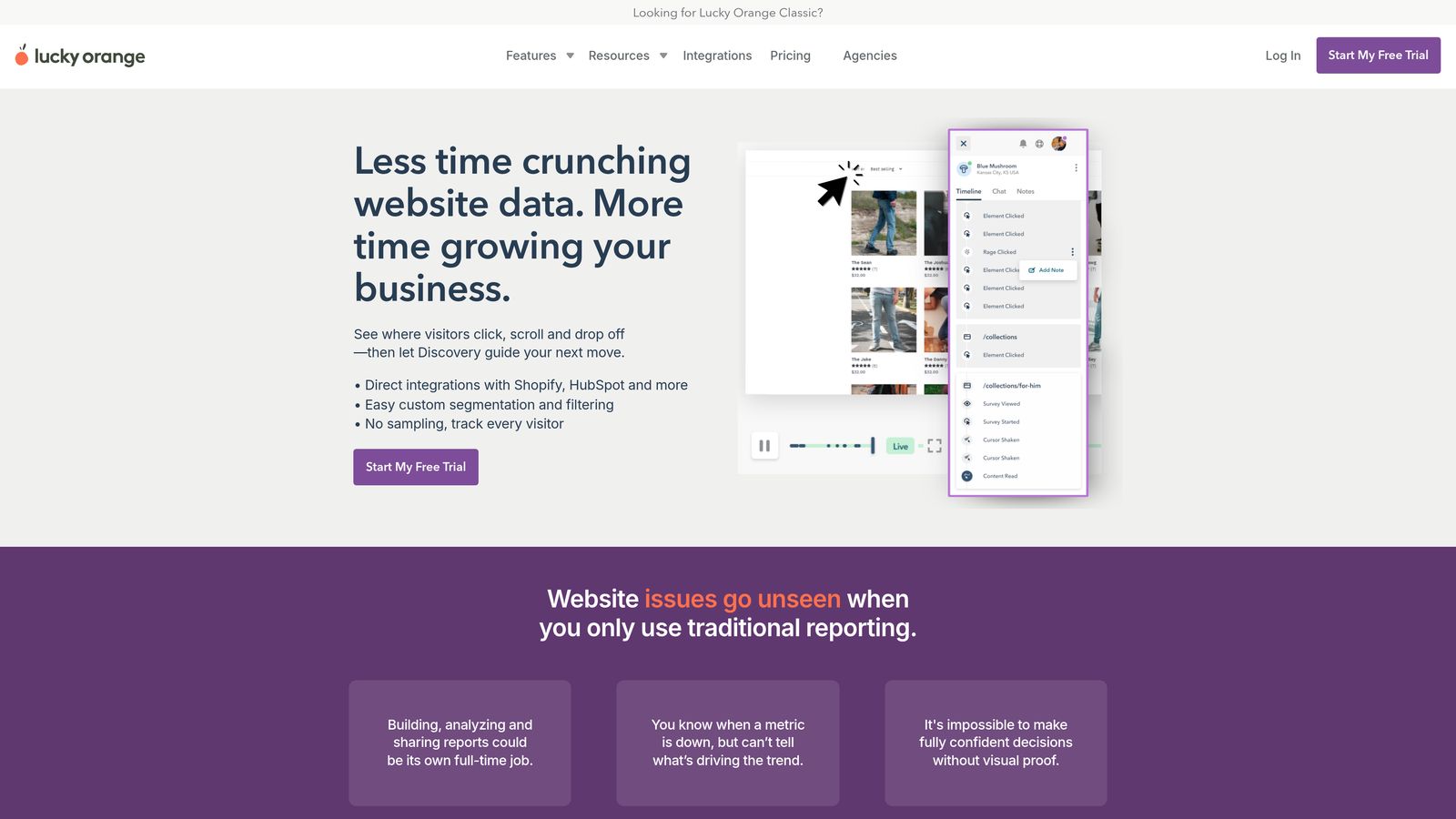 Screenshot of Lucky Orange website