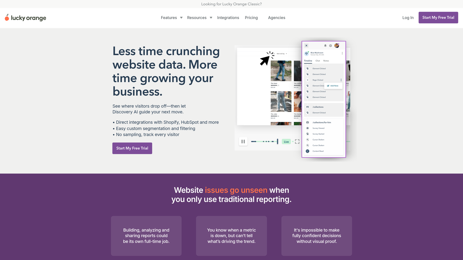 Screenshot of Lucky Orange website