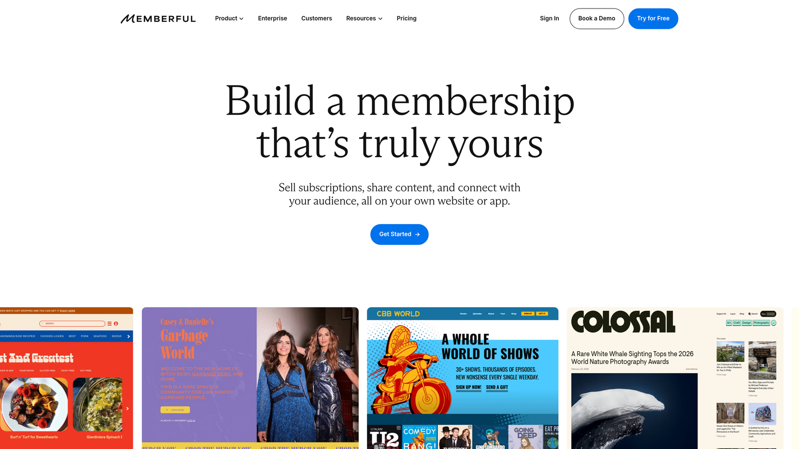 Screenshot of Memberful website