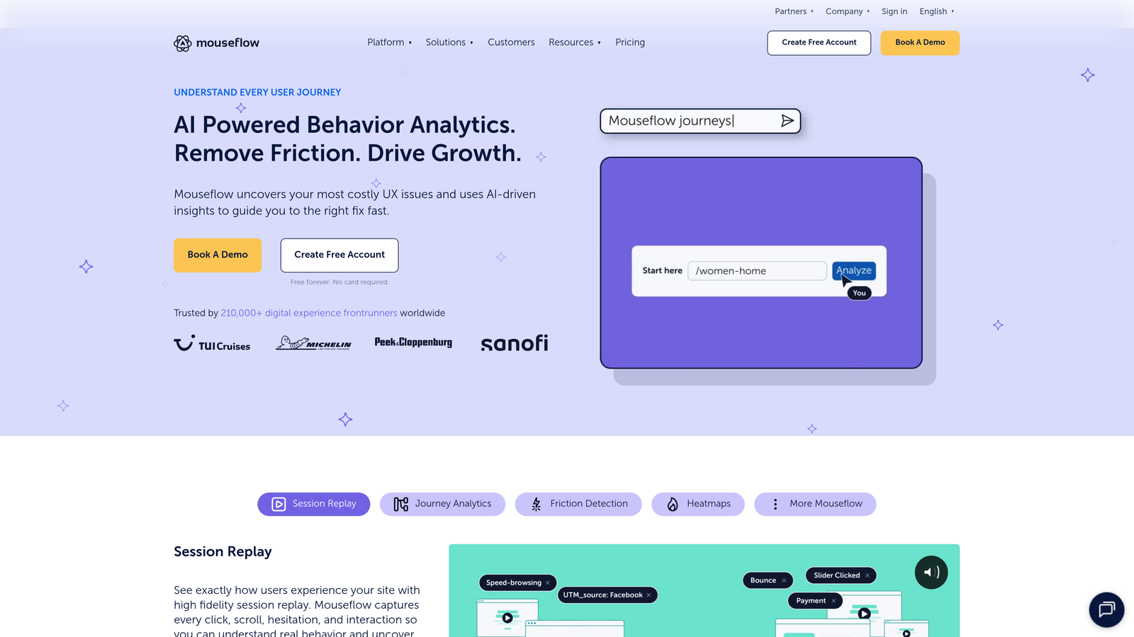 Screenshot of Mouseflow website