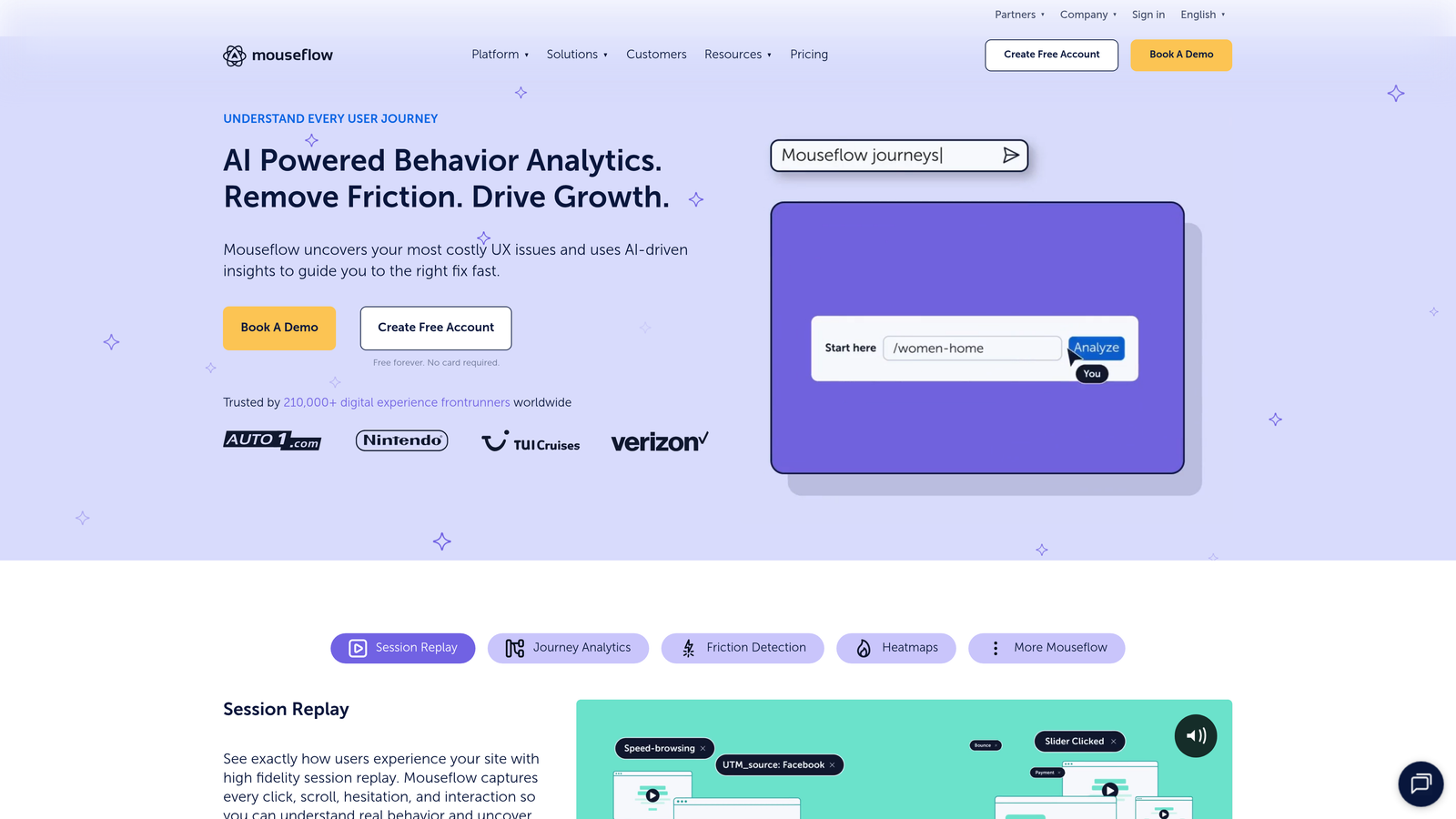 Screenshot of Mouseflow website