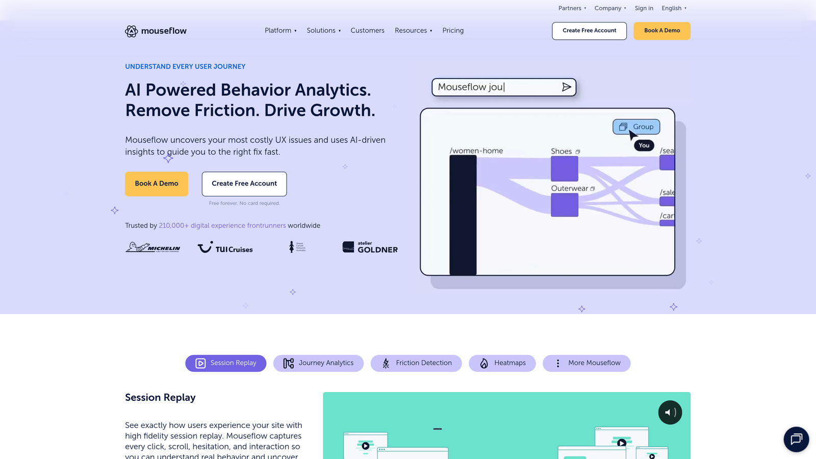 Screenshot of Mouseflow website