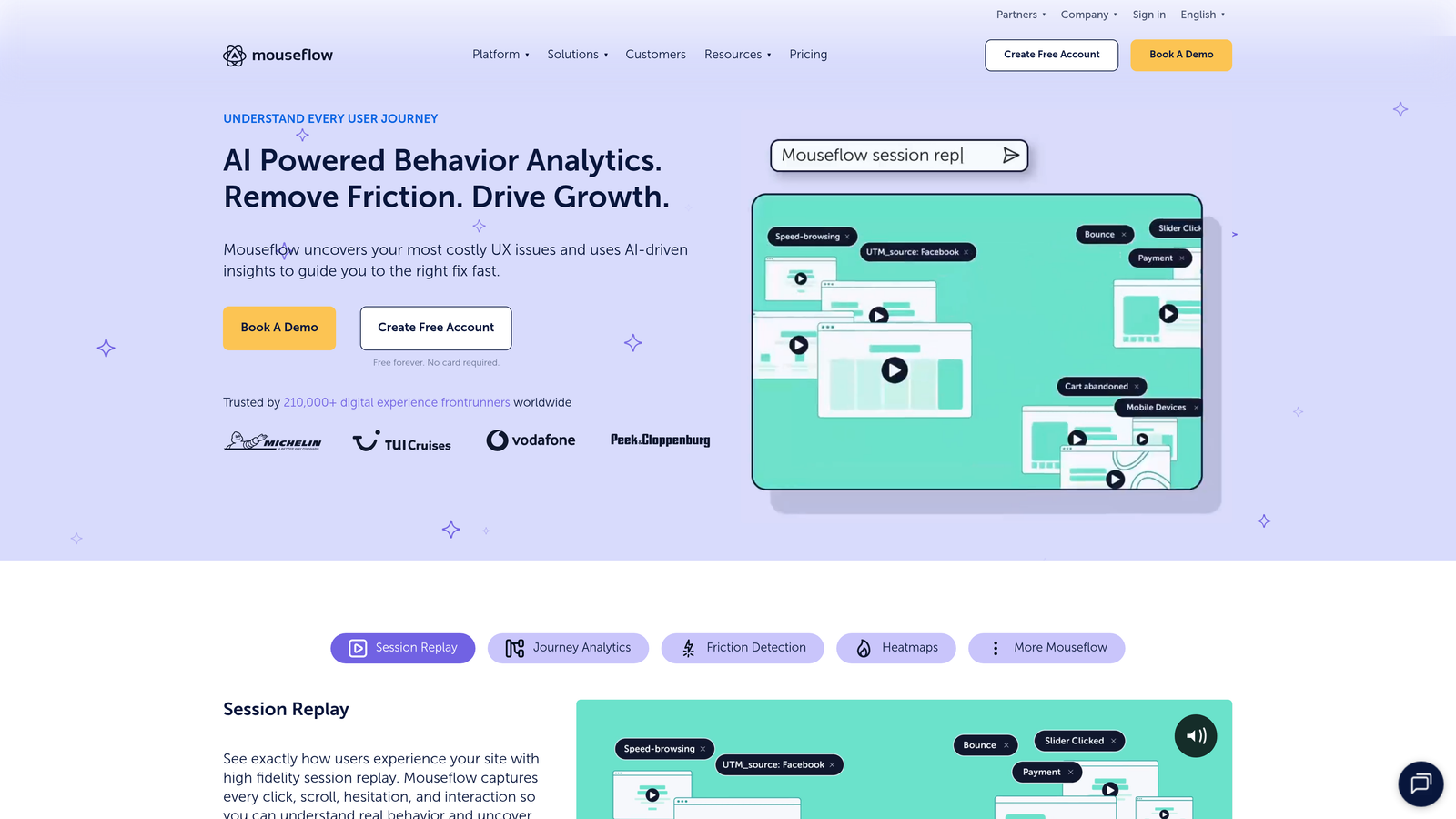 Screenshot of Mouseflow website