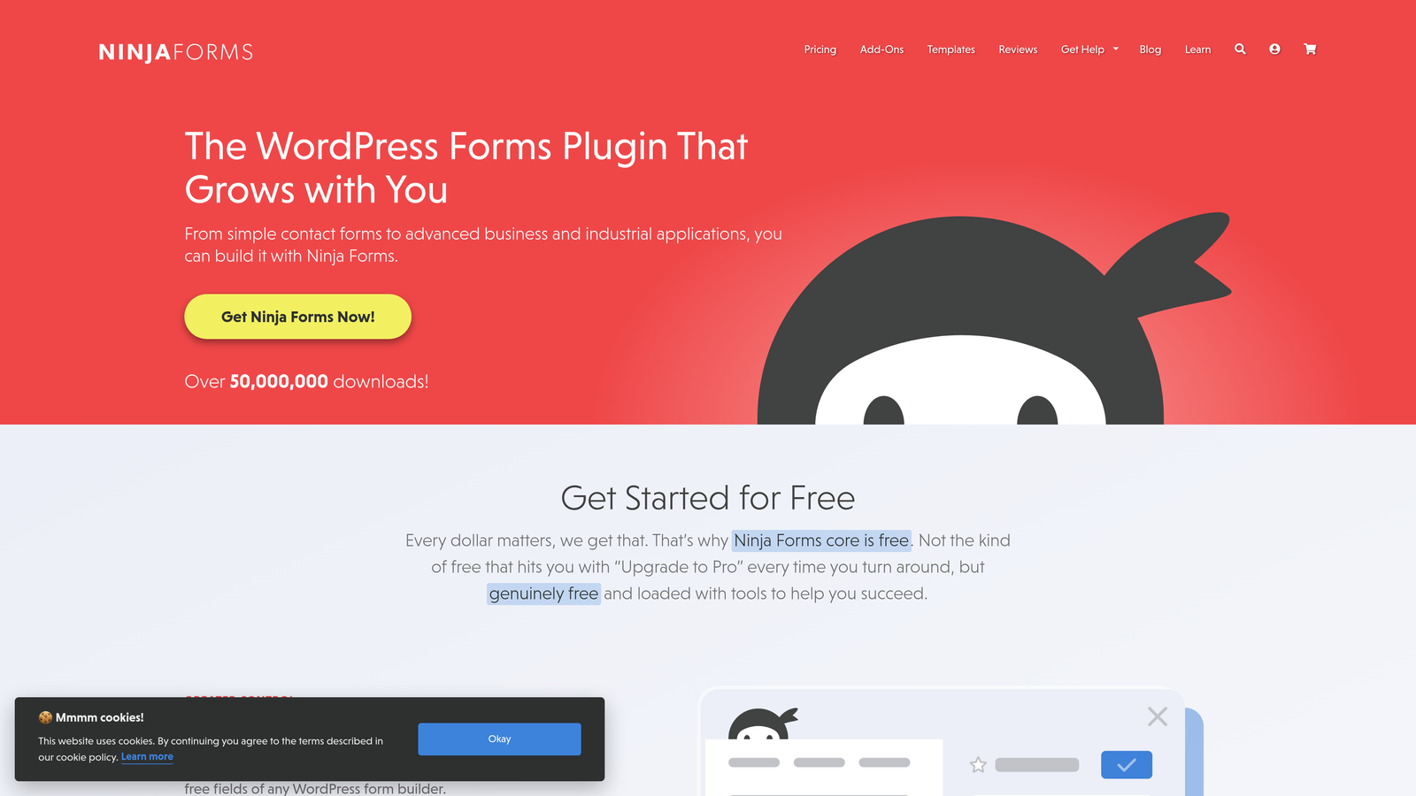 Screenshot of Ninja Forms website homepage