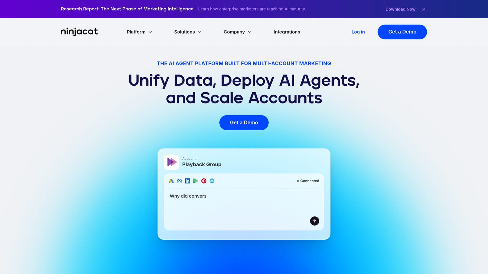 Screenshot of NinjaCat website