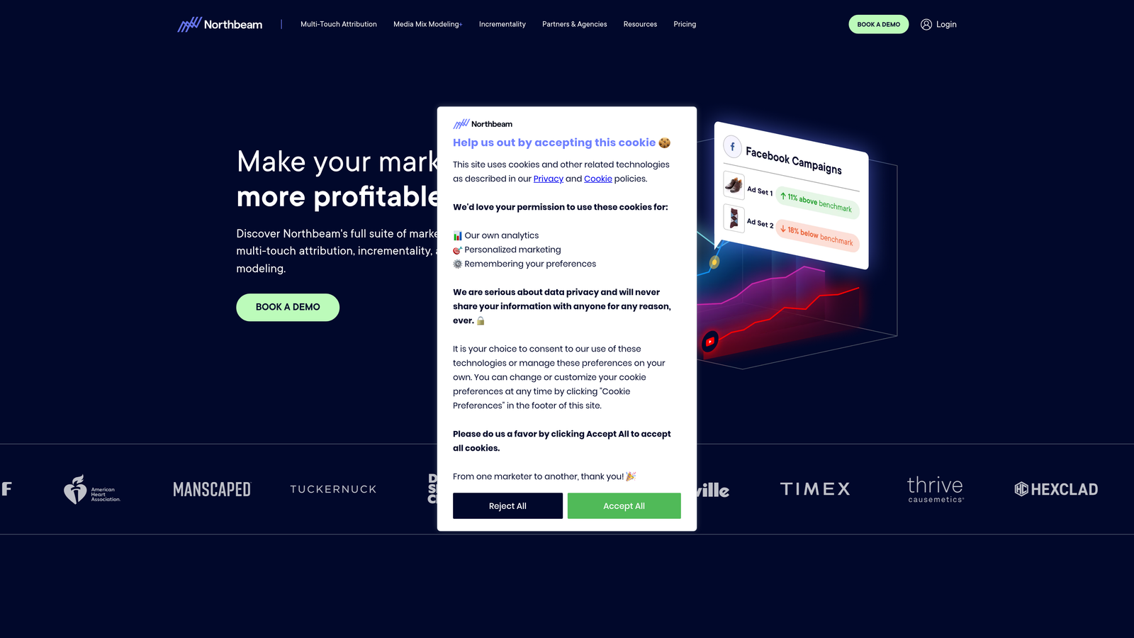 Screenshot of Northbeam website