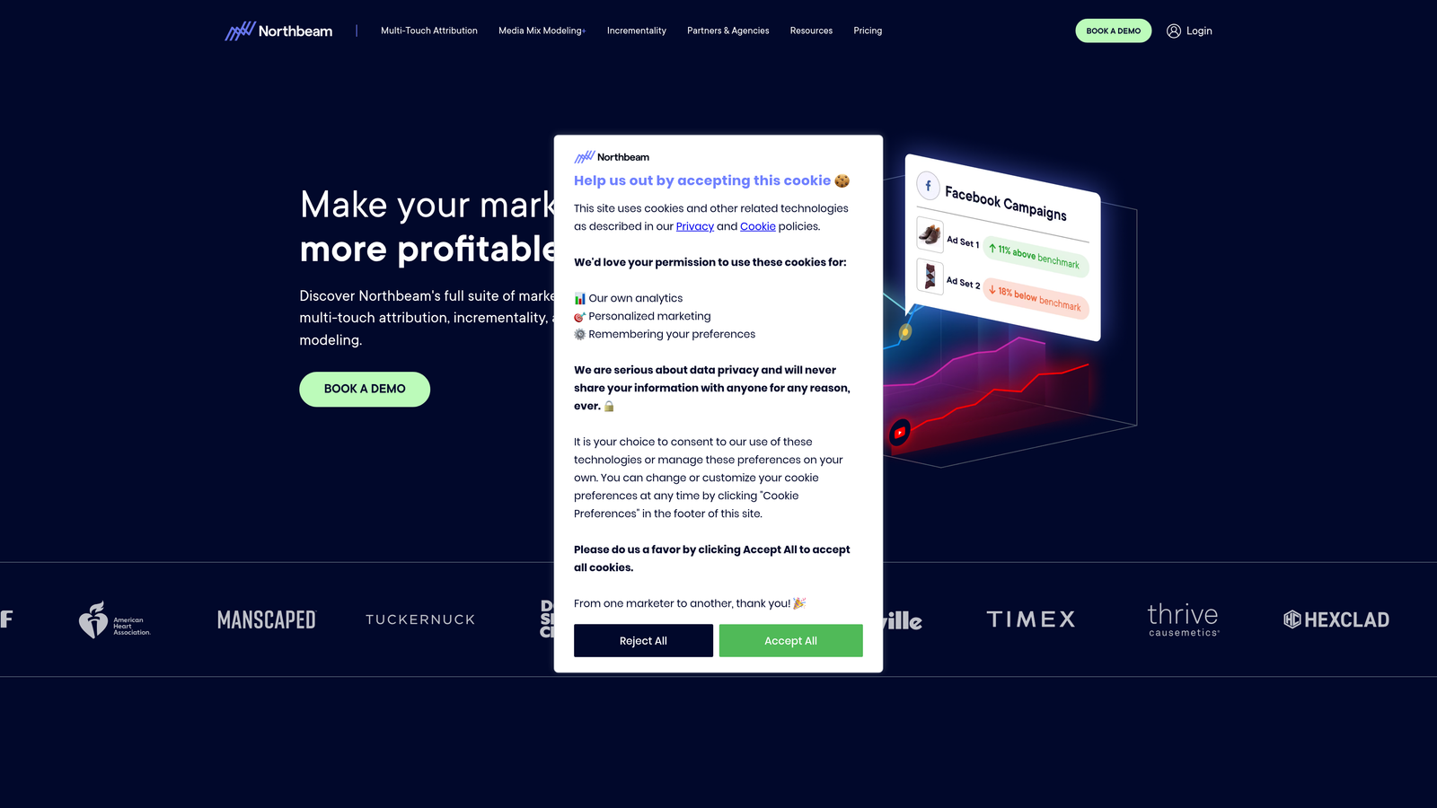 Screenshot of Northbeam website