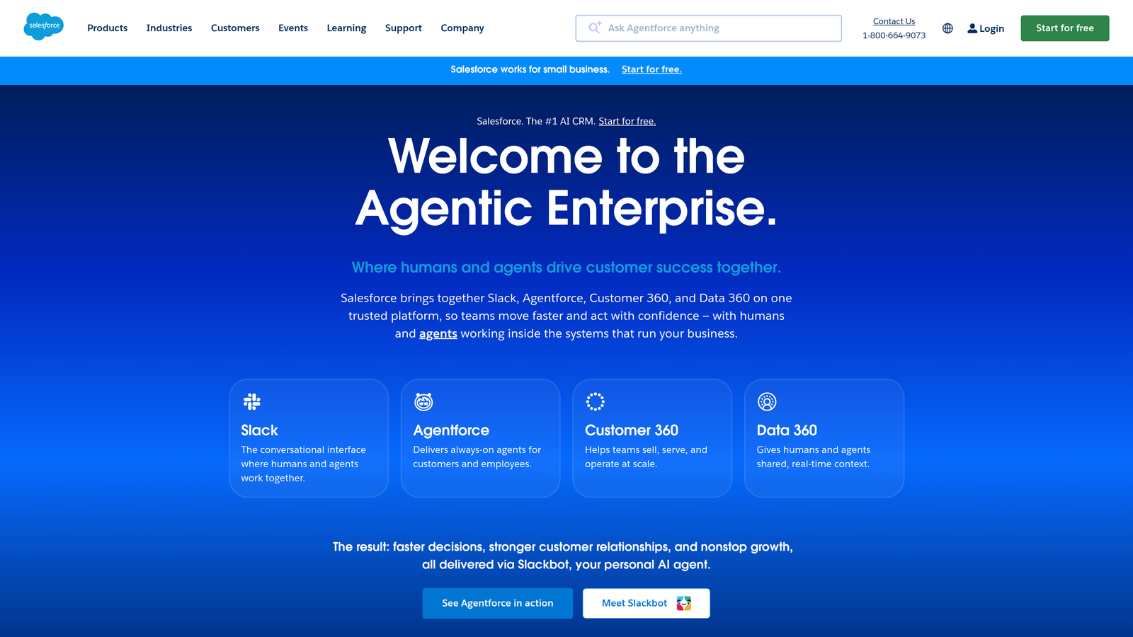 Screenshot of Salesforce Lead Assignment Rules website