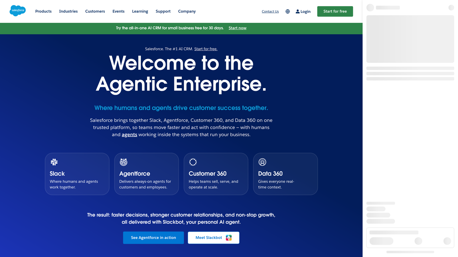Screenshot of Salesforce Lead Assignment Rules website