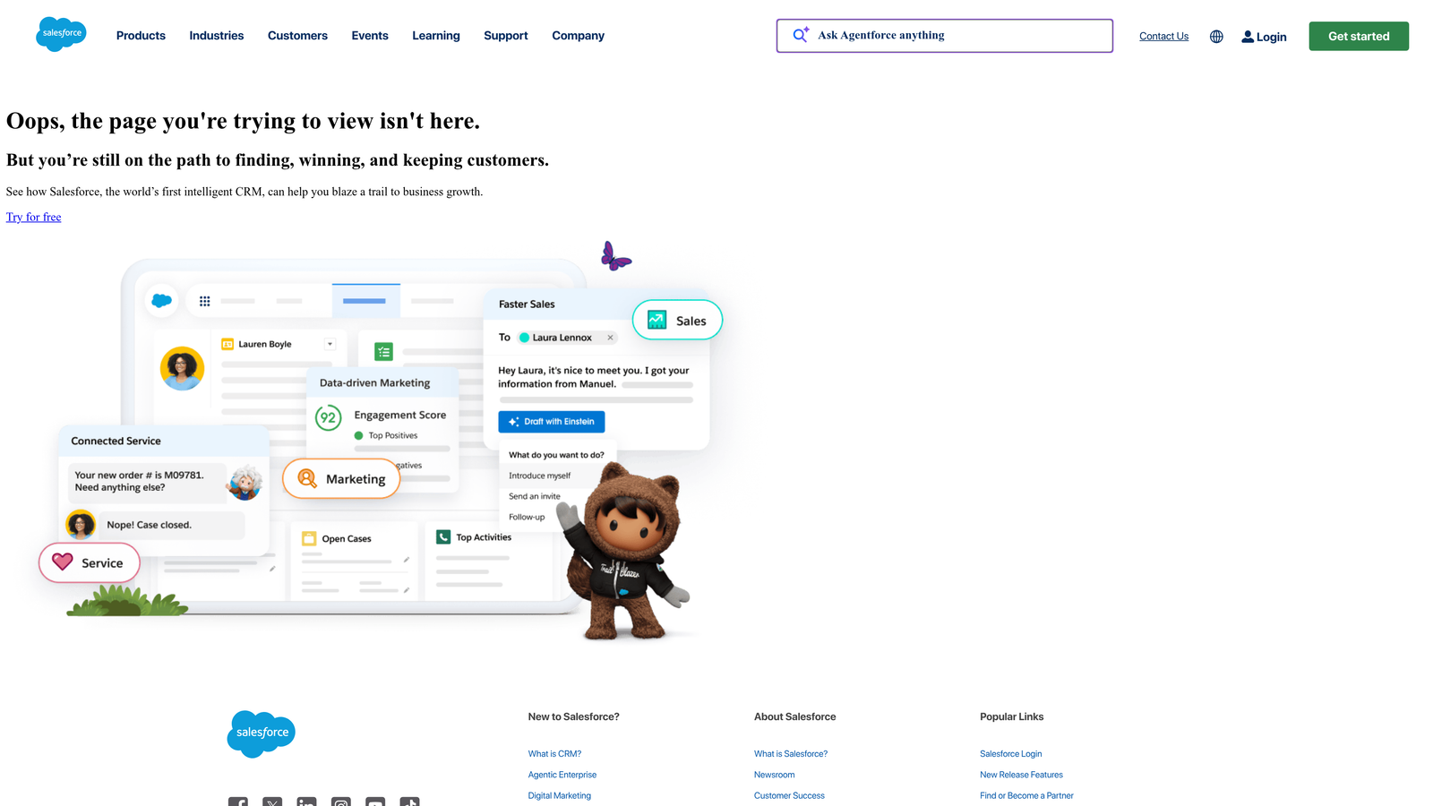 Screenshot of Salesforce Service Cloud website