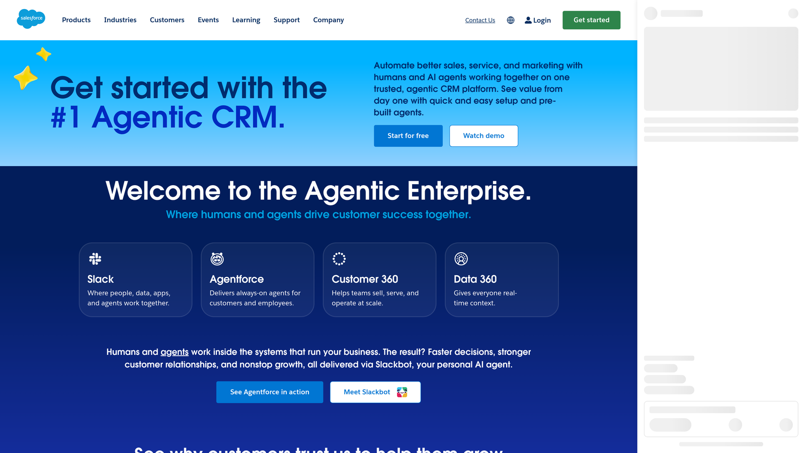 Screenshot of Salesforce Web-to-Lead website