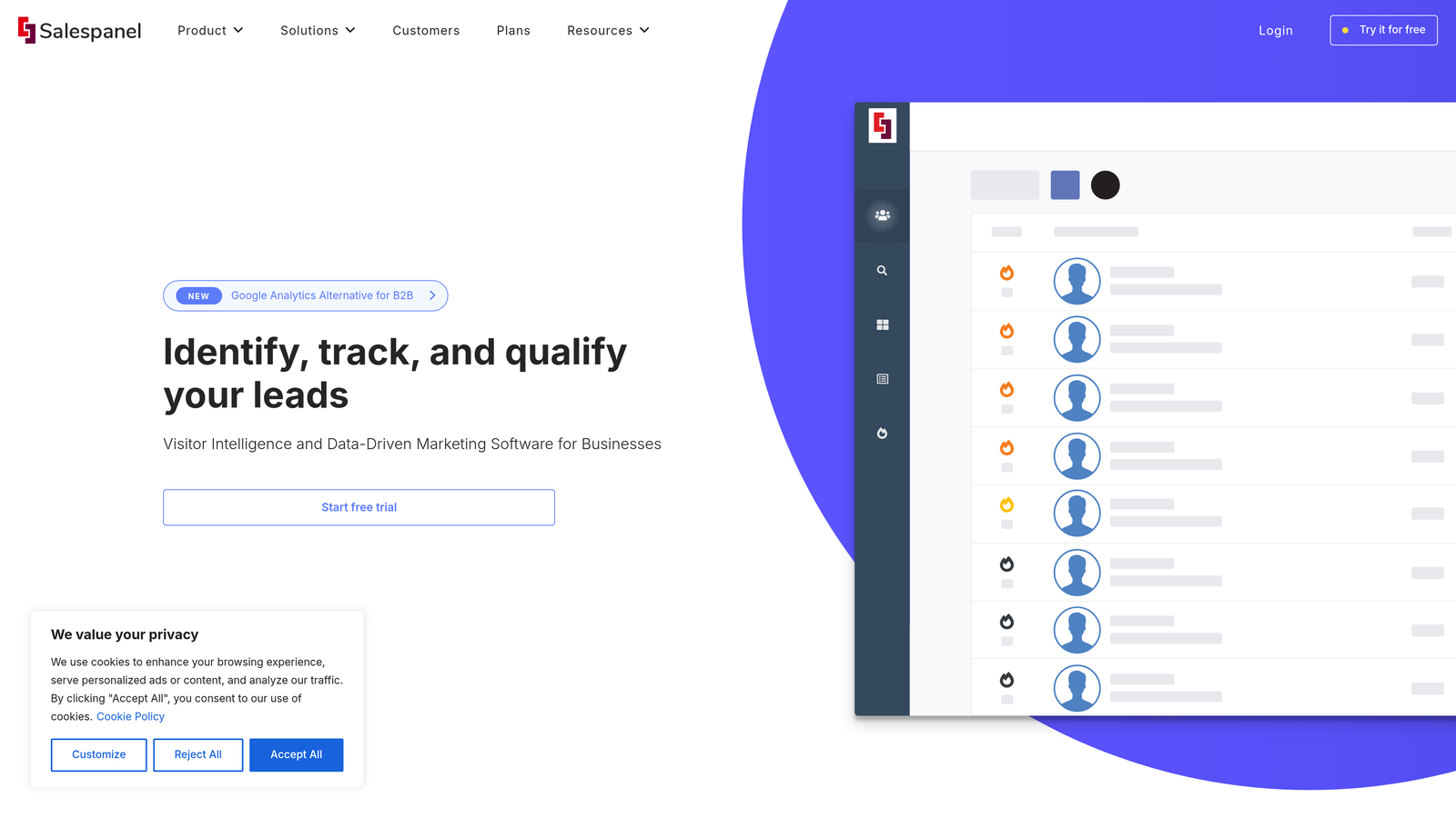 Screenshot of Salespanel website