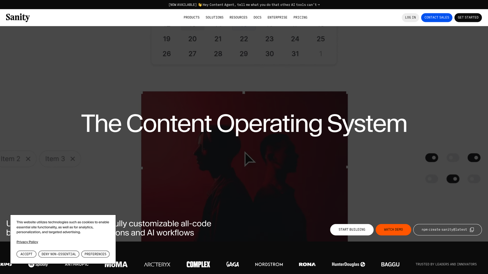 Screenshot of Sanity website