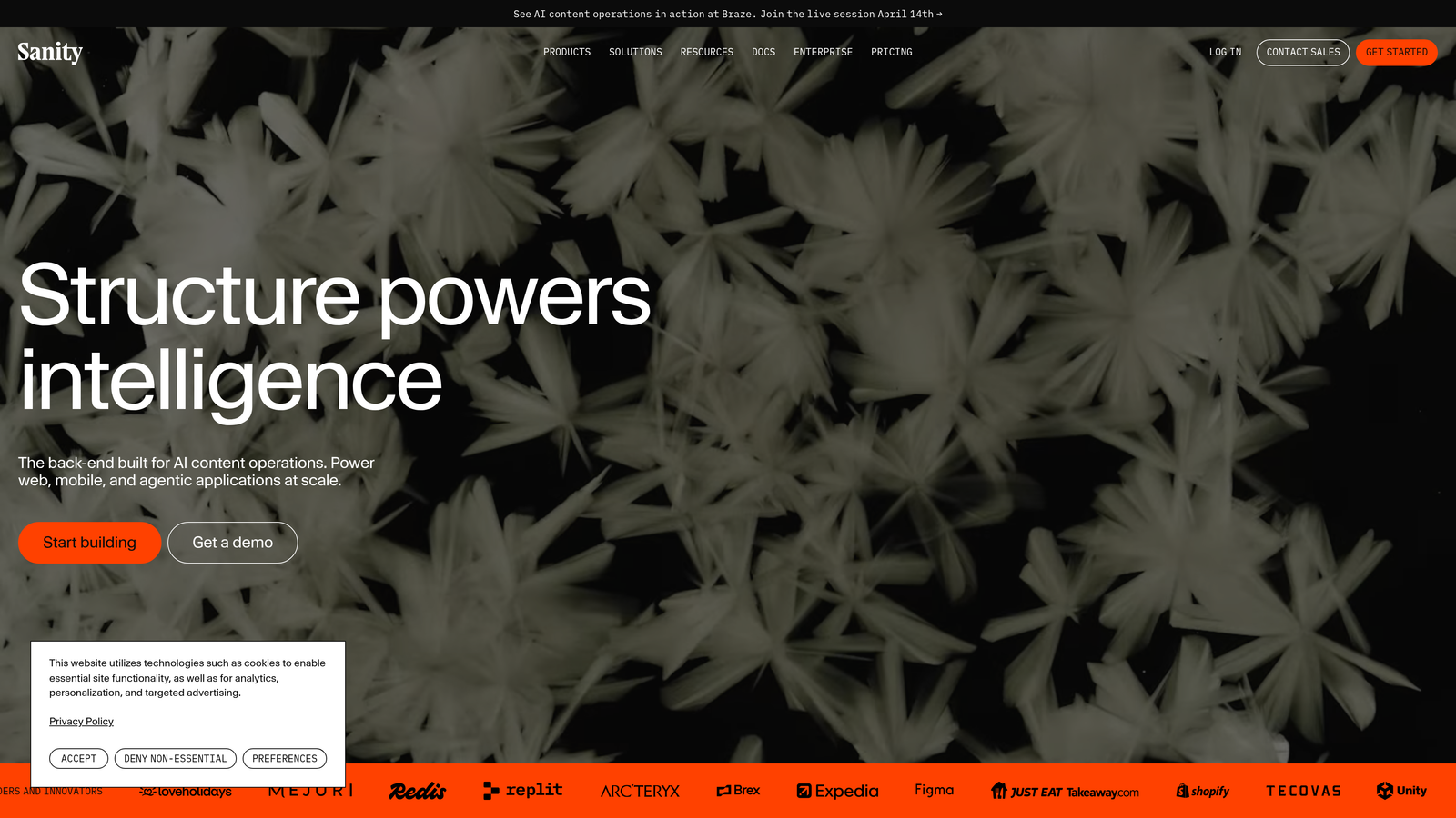 Screenshot of Sanity website