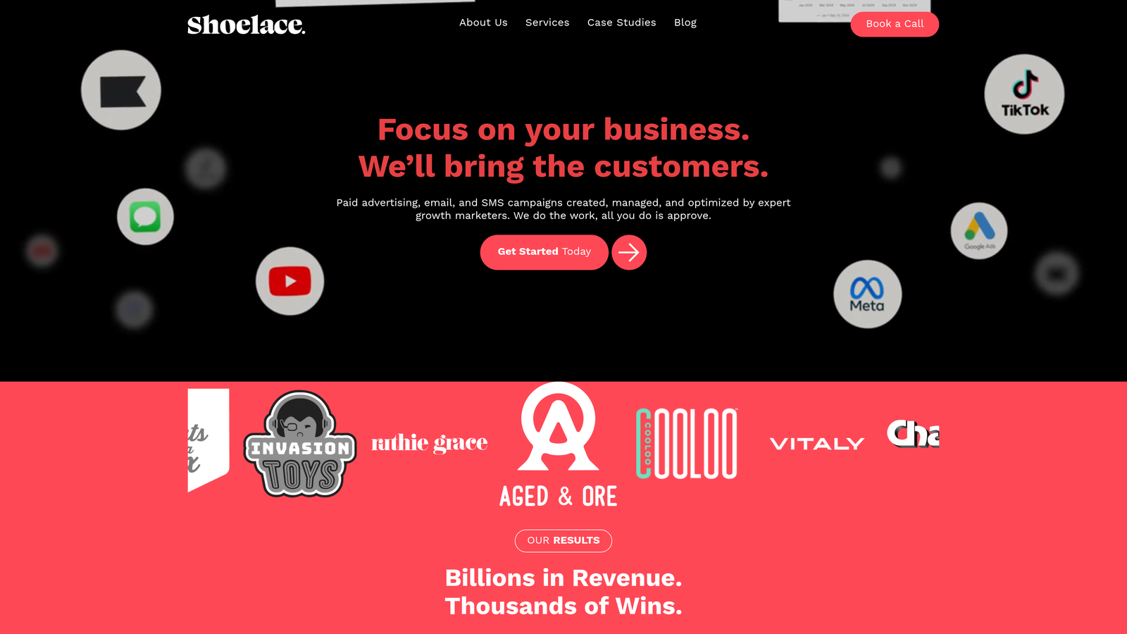 Screenshot of Shoelace website