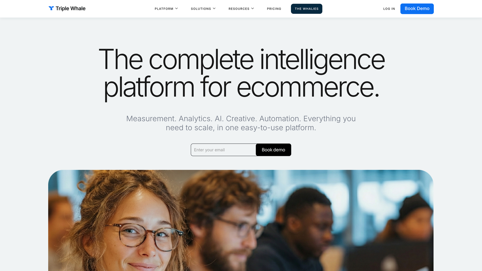 Screenshot of Triple Whale website
