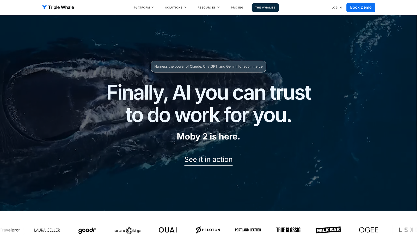 Screenshot of Triple Whale website