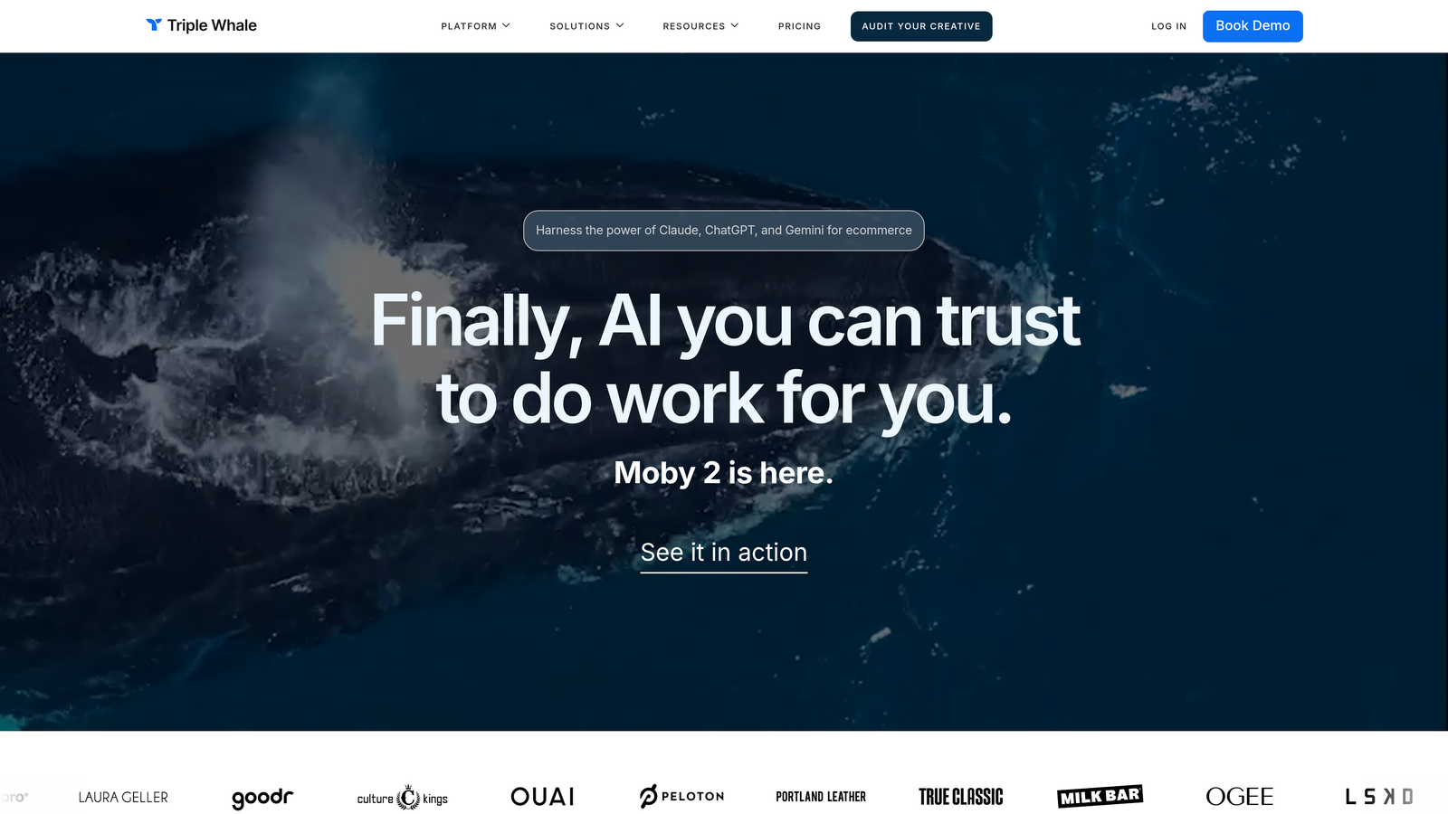 Screenshot of Triple Whale website