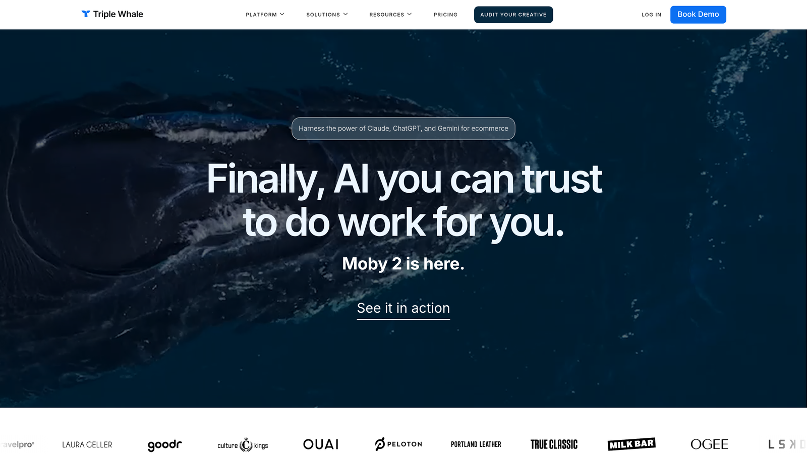 Screenshot of Triple Whale website