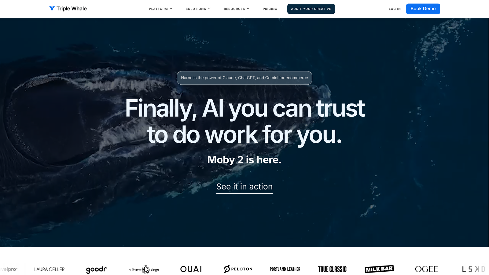 Screenshot of Triple Whale website