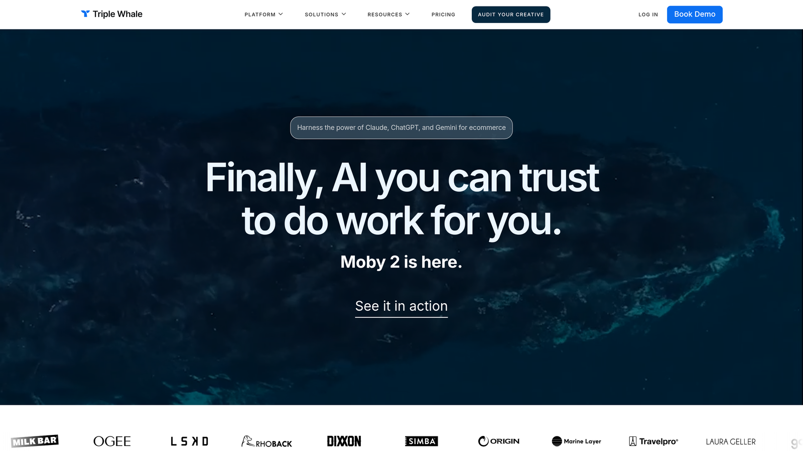 Screenshot of Triple Whale website