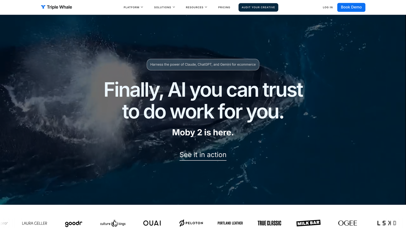 Screenshot of Triple Whale website
