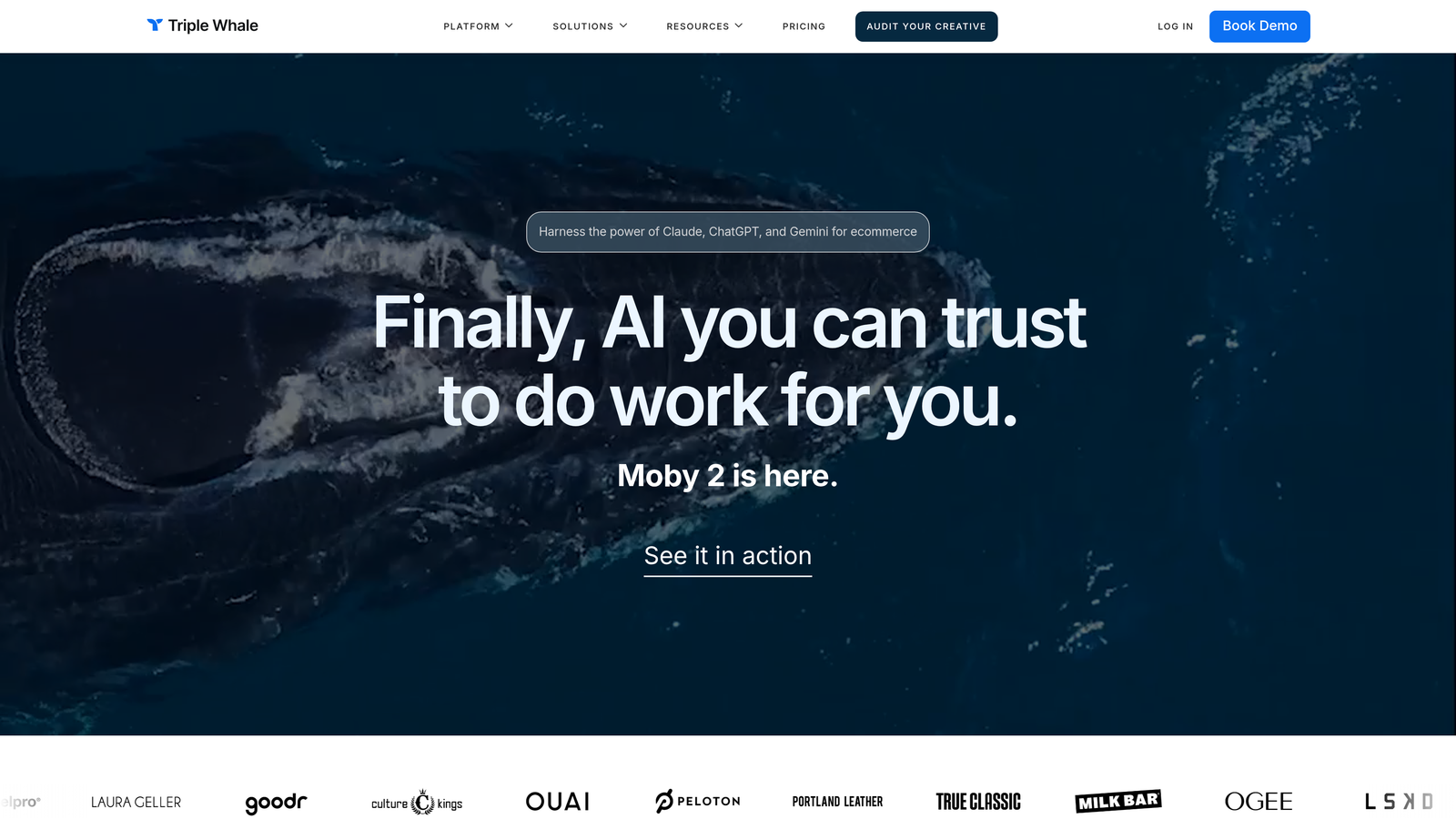 Screenshot of Triple Whale website