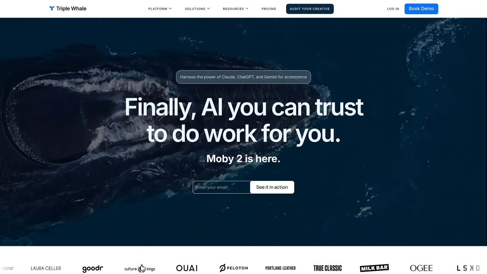 Screenshot of Triple Whale website