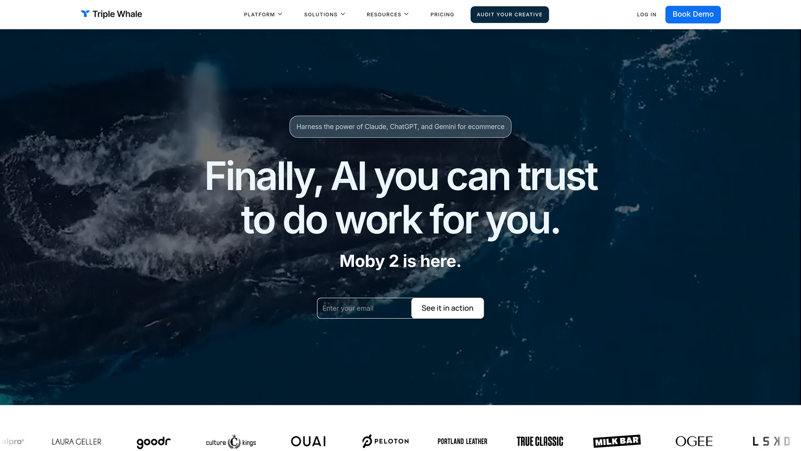 Screenshot of Triple Whale website