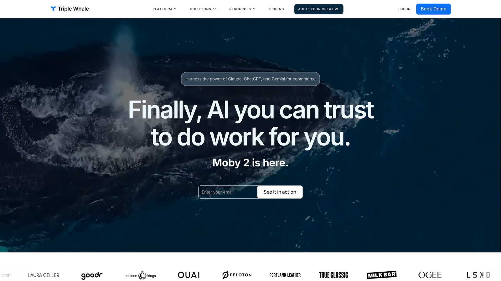 Screenshot of Triple Whale website