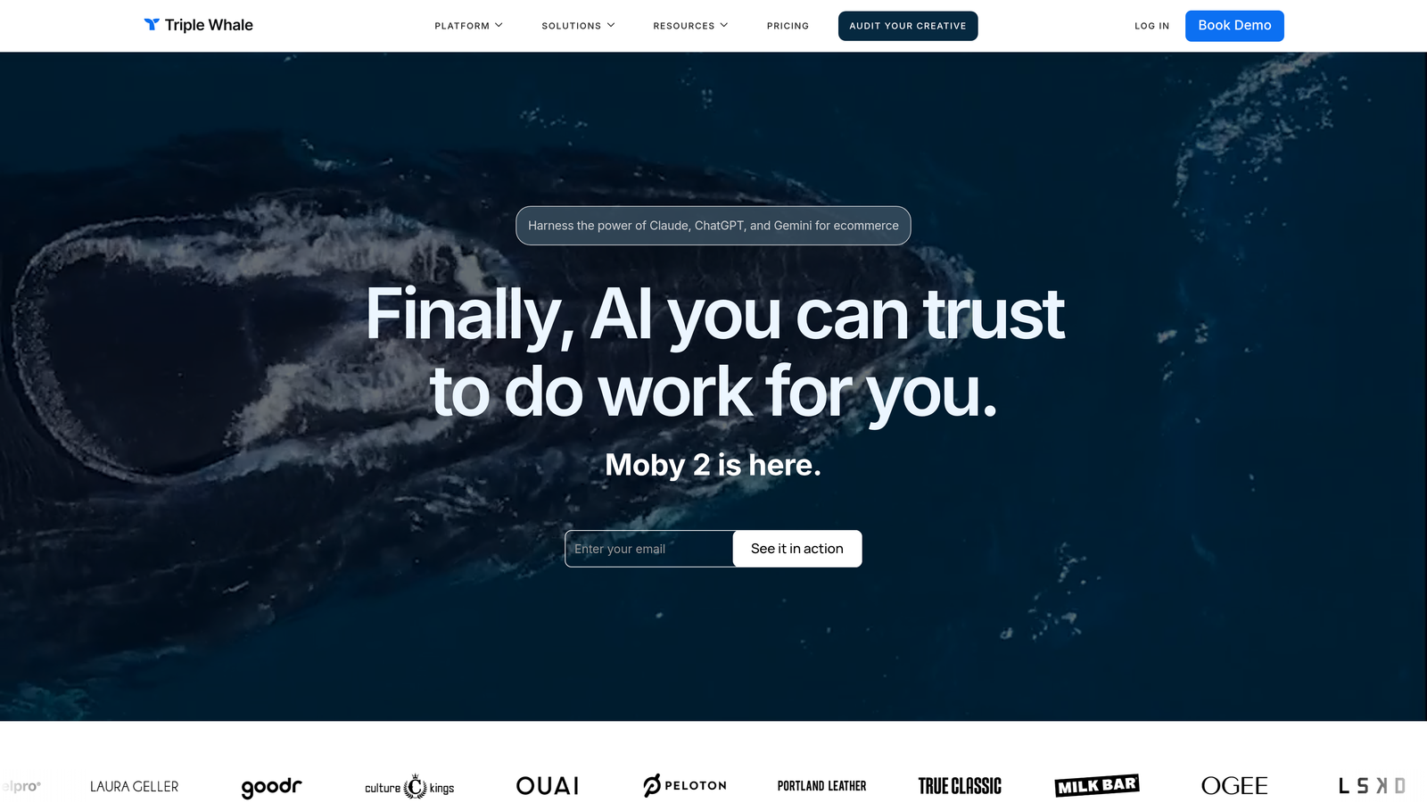 Screenshot of Triple Whale website