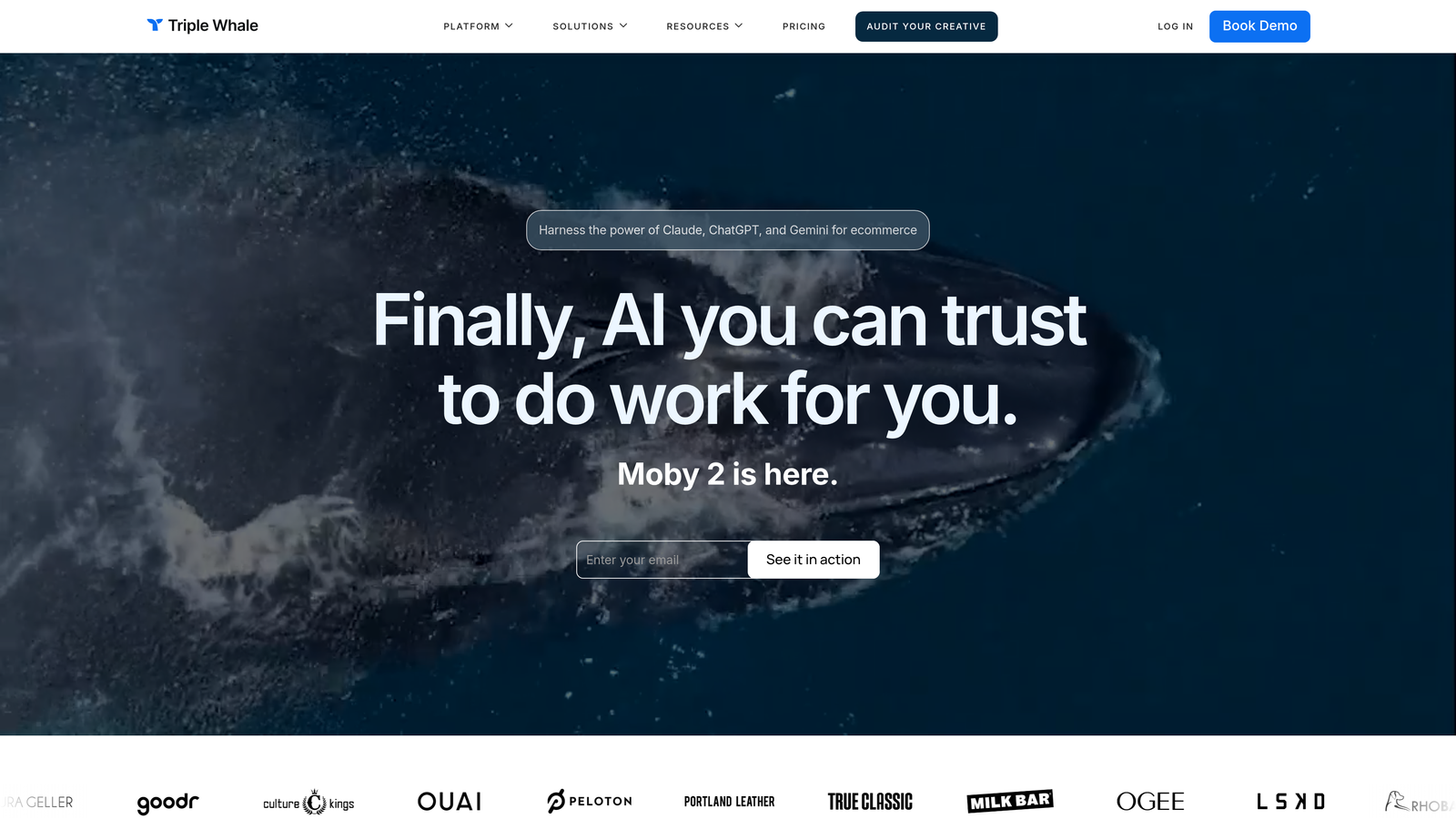 Screenshot of Triple Whale website